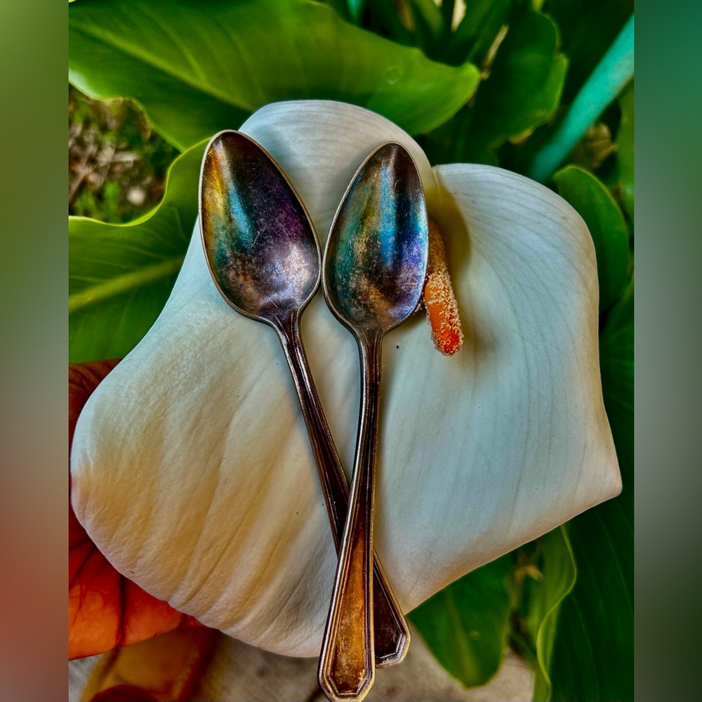 Elegant Vintage Silver Spoons Set